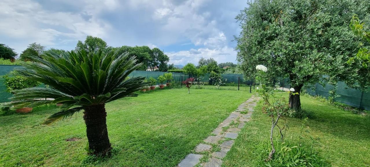 Casa Marcobando Villa Lucca Eksteriør bilde